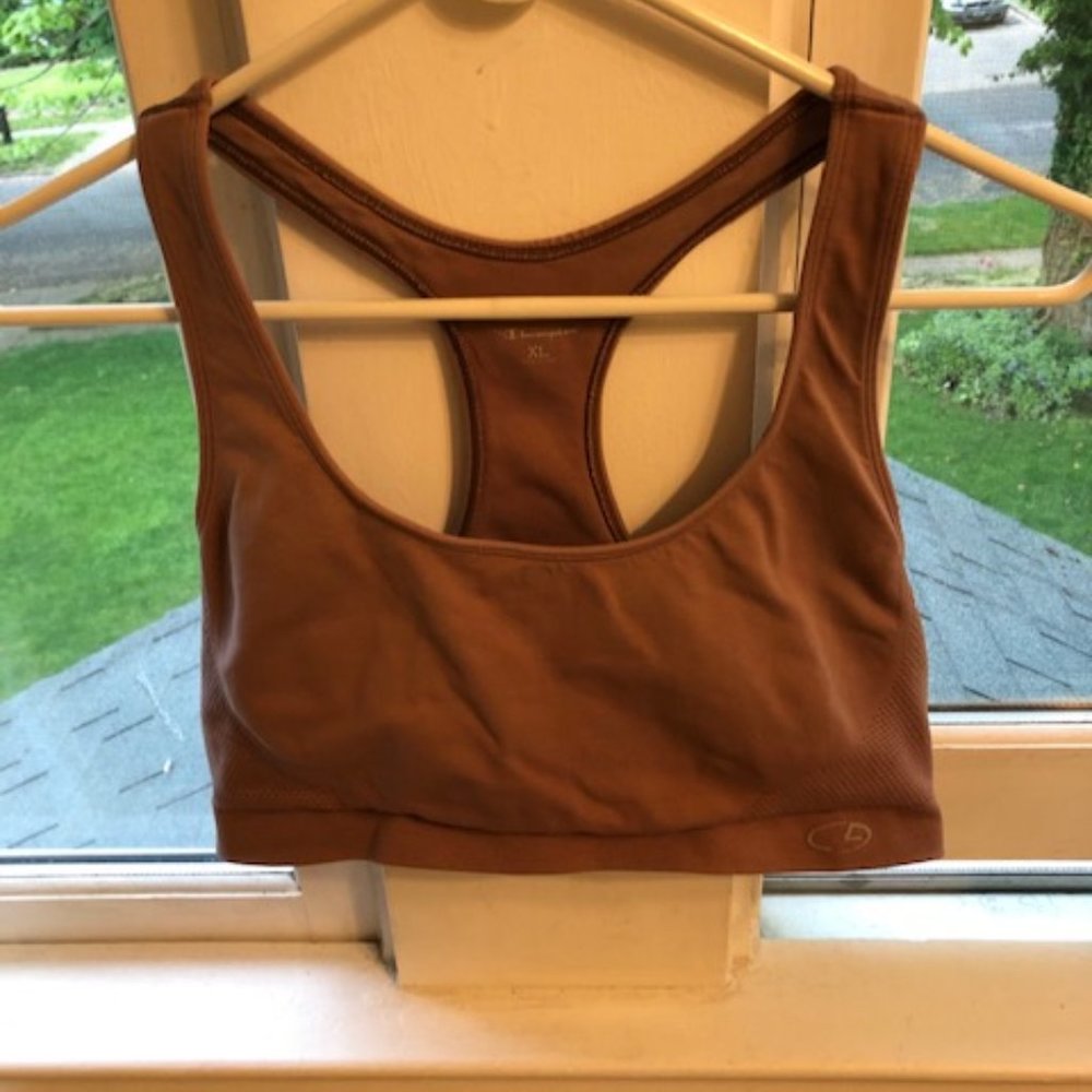 Gray Champion Workout Bra, XL